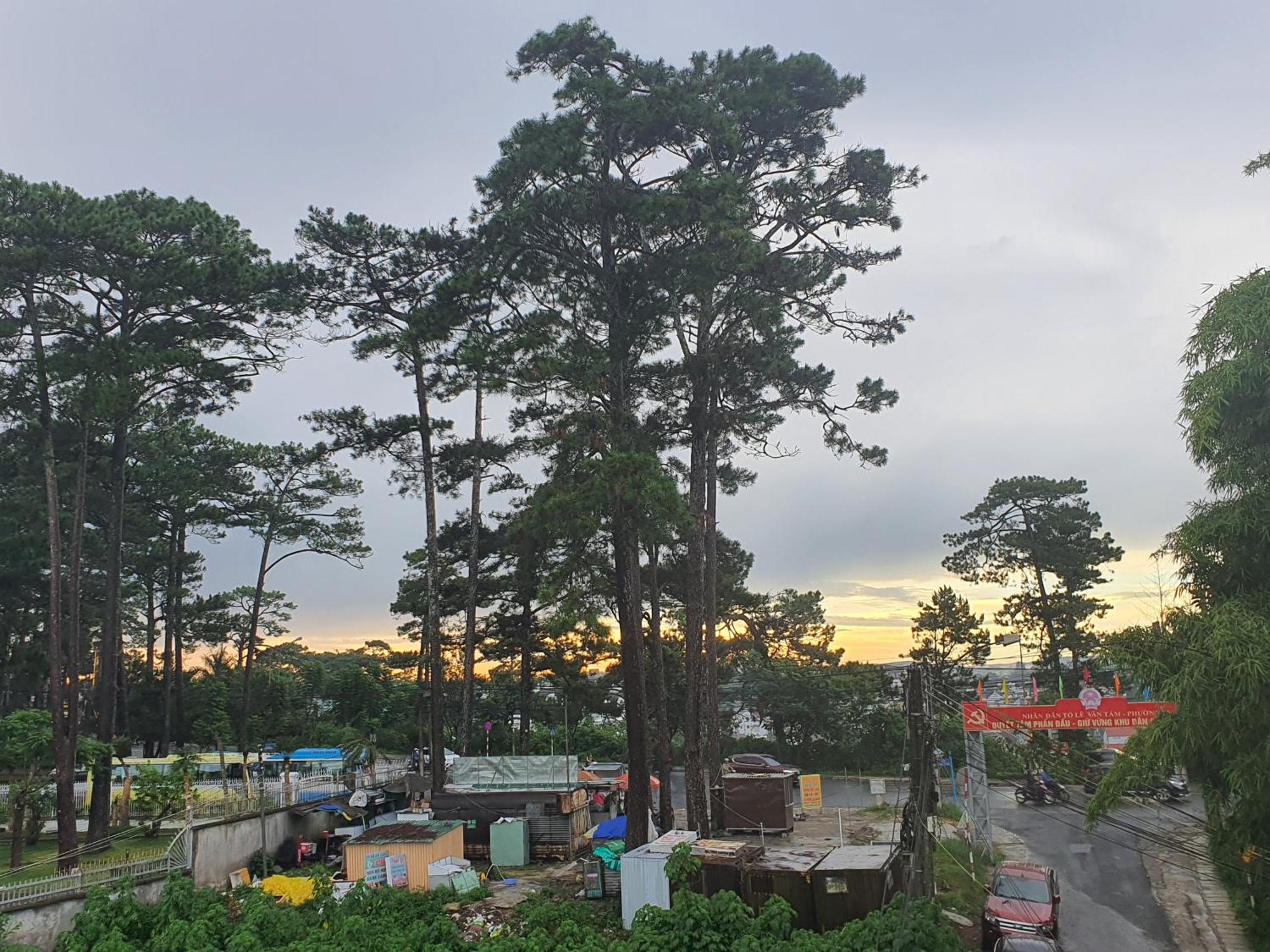 Duy Hotel Dalat Exteriér fotografie